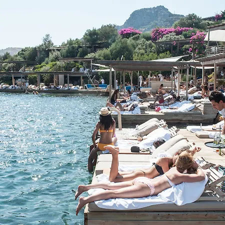 Macakizi 골터크부쿠