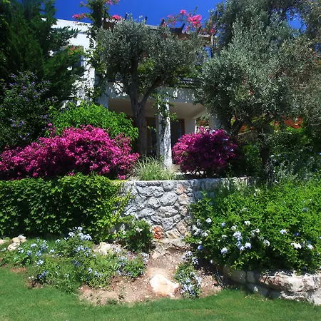 Rezort Macakizi Golturkbuku