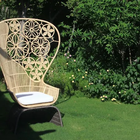 Macakizi Golturkbuku