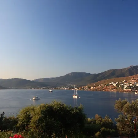 Macakizi Türkbükü