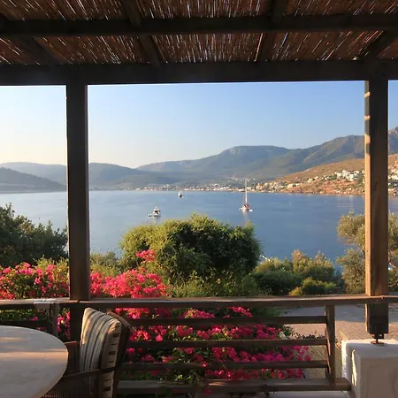 Macakizi 골터크부쿠