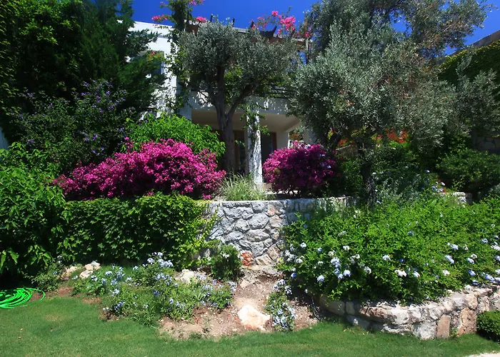 Resort Macakizi Göltürkbükü