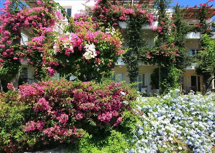 Macakizi Göltürkbükü