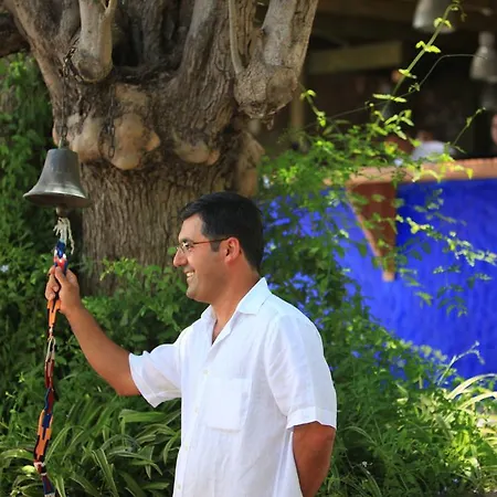 Macakizi Θέρετρο