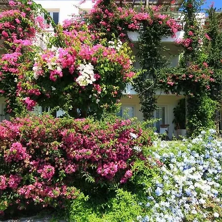 Macakizi Göltürkbükü